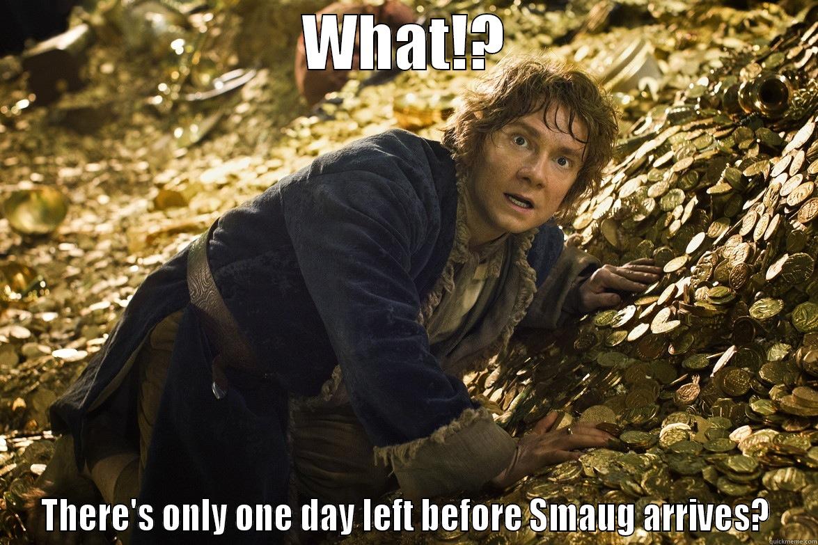 Desolation of Smaug - WHAT!? THERE'S ONLY ONE DAY LEFT BEFORE SMAUG ARRIVES? Misc