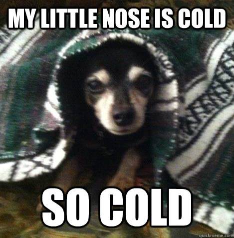 My little nose is cold so cold - My little nose is cold so cold  SO COLD
