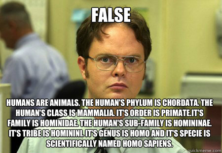 false Humans are animals. The human's phylum is Chordata. The human's class is mammalia. It's order is primate.It's family is Hominidae. The Human's sub-family is Homininae. It's tribe is Hominini. It's genus is Homo and it's specie is scientifically name  Dwight