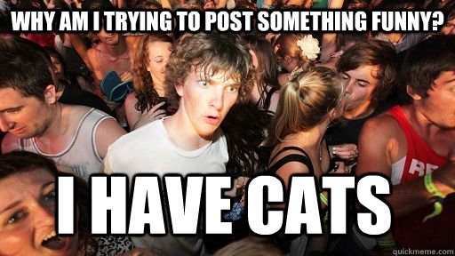 Why am I trying to post something funny? I HAVE CATS  Sudden Clarity Clarence