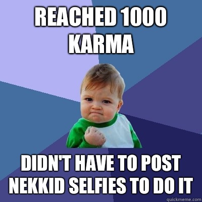 Reached 1000 Karma Didn't have to post nekkid selfies to do it  Success Kid