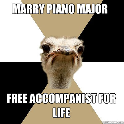 Marry piano major free accompanist for life - Marry piano major free accompanist for life  Music Major Ostrich