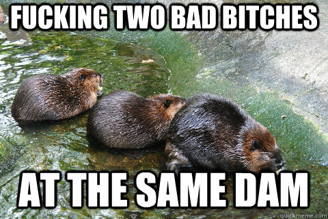 fucking two bad bitches at the same dam - fucking two bad bitches at the same dam  future beavers