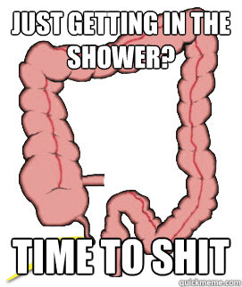 Just getting in the shower? Time to shit  Scumbag Bowels
