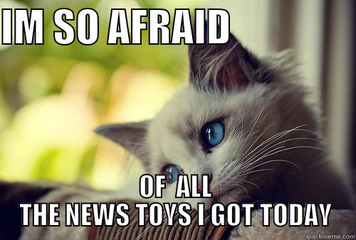 IM SO AFRAID                 OF  ALL THE NEWS TOYS I GOT TODAY First World Problems Cat