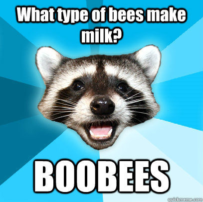 What type of bees make milk? BOOBEES  Lame Pun Coon