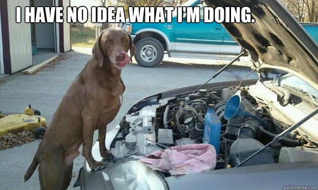 
I have no idea what I'm doing. - 
I have no idea what I'm doing.  I have no idea what Im doing.