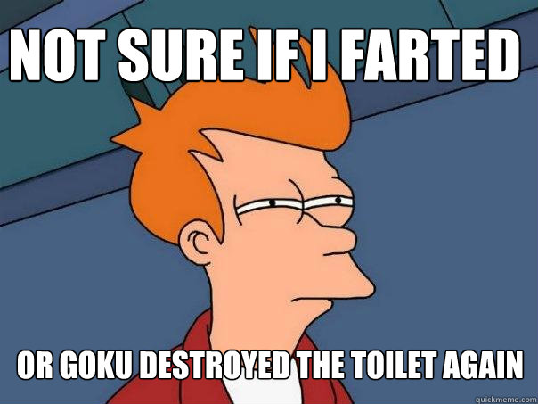 Not sure if I farted or goku destroyed the toilet again  Futurama Fry