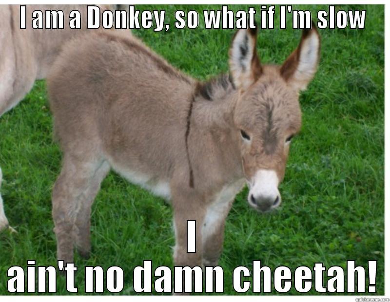 I AM A DONKEY, SO WHAT IF I'M SLOW I AIN'T NO DAMN CHEETAH! Misc