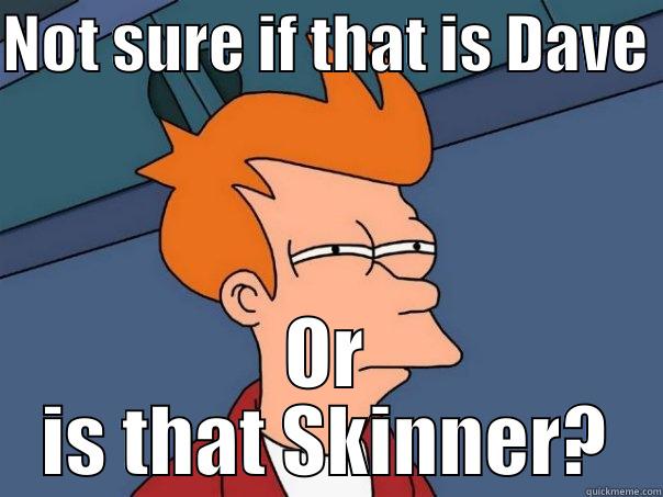 NOT SURE IF THAT IS DAVE  OR IS THAT SKINNER? Futurama Fry
