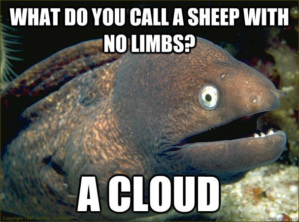 What do you call a sheep with no limbs? a cloud - What do you call a sheep with no limbs? a cloud  Bad Joke Eel