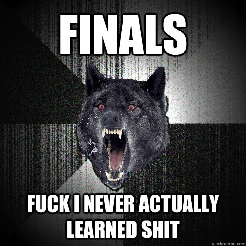 FINALS Fuck I Never Actually Learned Shit    Insanity Wolf