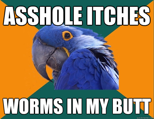 asshole itches worms in my butt  Paranoid Parrot