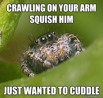 crawling on your arm Squish Him just wanted to cuddle - crawling on your arm Squish Him just wanted to cuddle  Misunderstood Spider