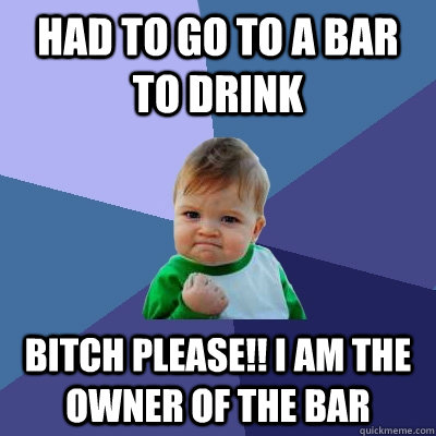 Had to go to a bar to drink Bitch Please!! i am the owner of the bar  Success Kid