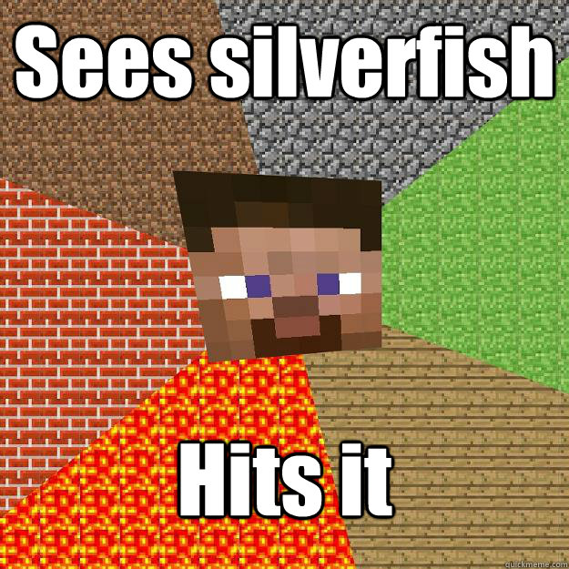 Sees silverfish Hits it  Minecraft