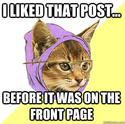 I liked that post... Before it was on the front page  Hipster Kitty