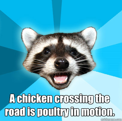  A chicken crossing the road is poultry in motion.  Lame Pun Coon