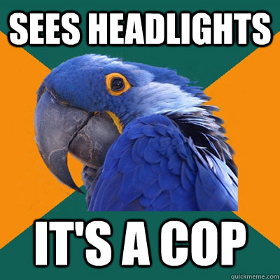 sees headlights It's a cop  Paranoid Parrot