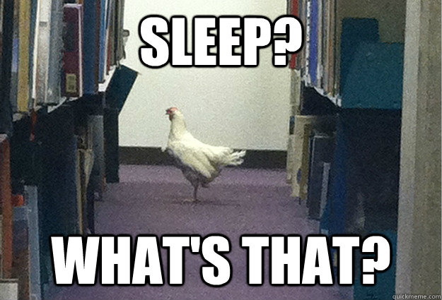 Sleep? What's that? - Sleep? What's that?  Grade-A Chicken