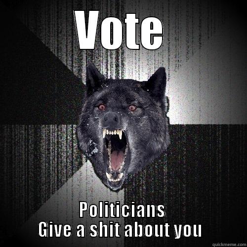 VOTE POLITICIANS GIVE A SHIT ABOUT YOU  Insanity Wolf