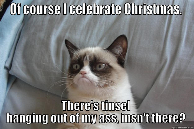 OF COURSE I CELEBRATE CHRISTMAS. THERE'S TINSEL HANGING OUT OF MY ASS, INSN'T THERE? Grumpy Cat