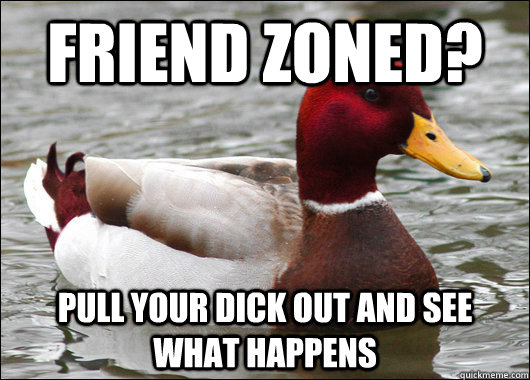 Friend zoned? Pull your dick out and see what happens  Malicious Advice Mallard