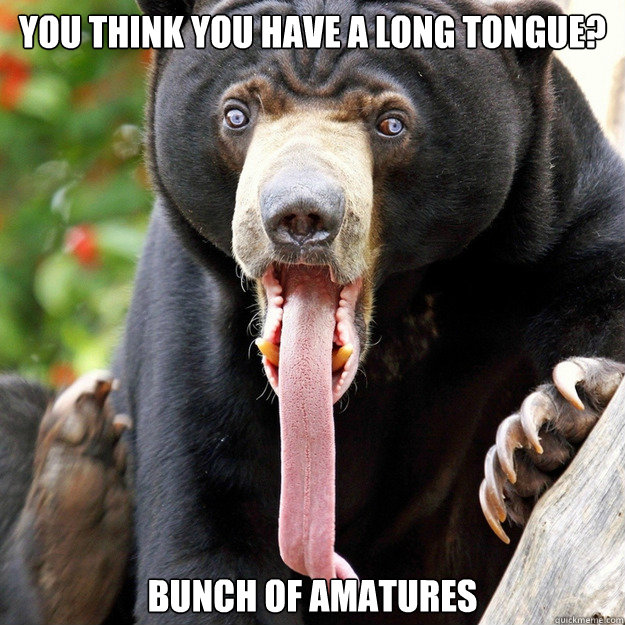 you think you have a long tongue? bunch of amatures - you think you have a long tongue? bunch of amatures  The One With The Black Bear With The Really Long Tongue