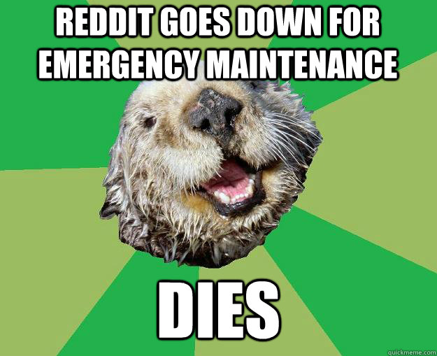 reddit goes down for emergency maintenance dies  OCD Otter