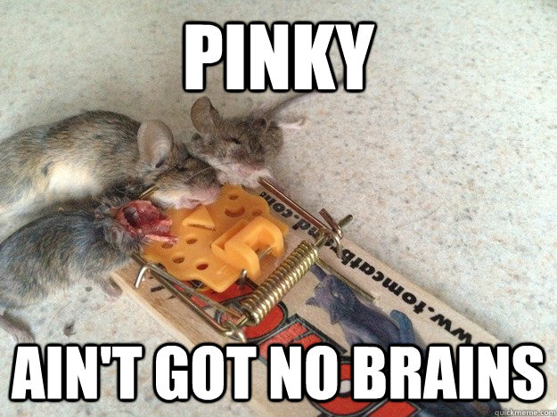 Pinky ain't got no brains  Mouse Trap IRL Champions