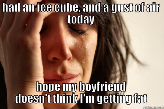 HAD AN ICE CUBE, AND A GUST OF AIR TODAY HOPE MY BOYFRIEND DOESN'T THINK I'M GETTING FAT First World Problems