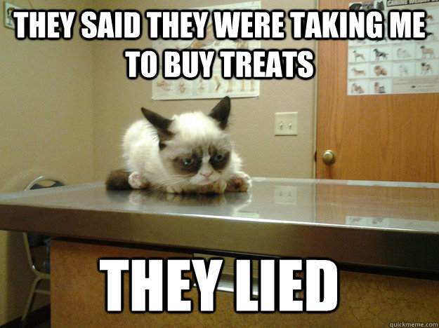 They said they were taking me to buy treats They lied  grumpy cat goes to the vet