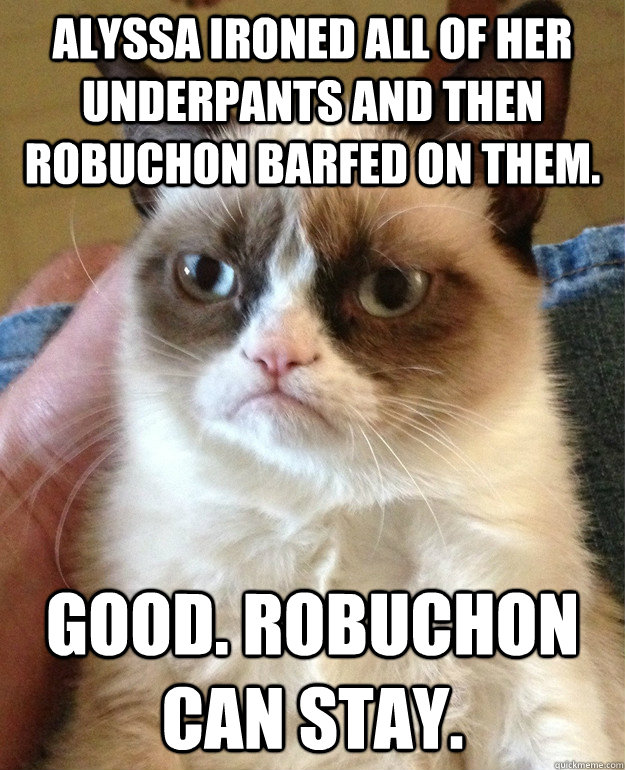 Alyssa ironed all of her underpants and then Robuchon barfed on them.  Good. Robuchon can stay.  - Alyssa ironed all of her underpants and then Robuchon barfed on them.  Good. Robuchon can stay.   Misc