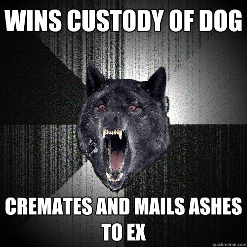 Wins Custody of Dog Cremates and mails ashes to ex  Insanity Wolf