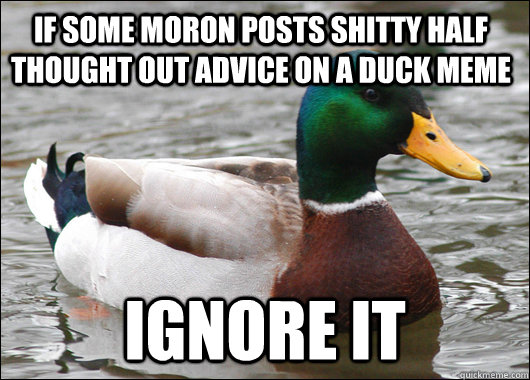 If some moron posts shitty half thought out advice on a duck meme ignore it  Actual Advice Mallard