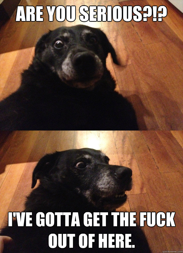 Are you Serious?!? I've gotta get the fuck out of here.  