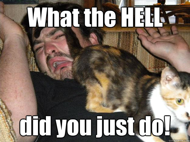 What the HELL did you just do! - What the HELL did you just do!  Cats are jerks