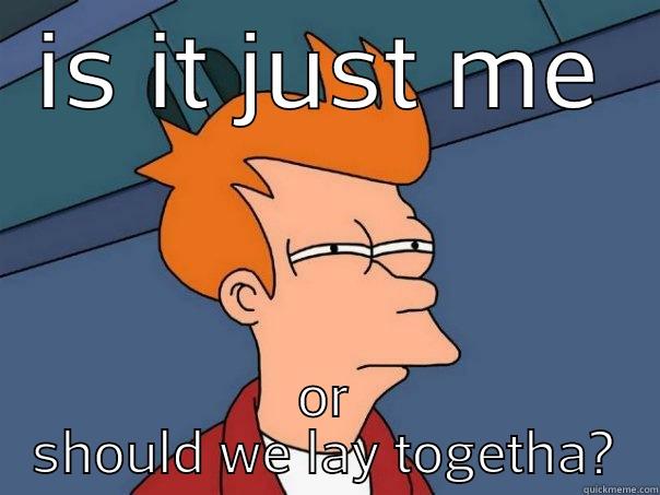 IS IT JUST ME OR SHOULD WE LAY TOGETHA? Futurama Fry