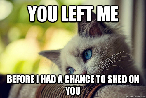 You left me before I had a chance to shed on you  First World Problems Cat