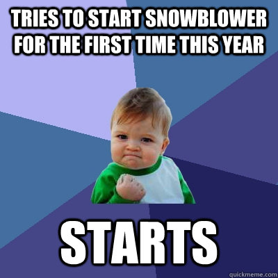 Tries to start snowblower for the first time this year Starts  Success Kid