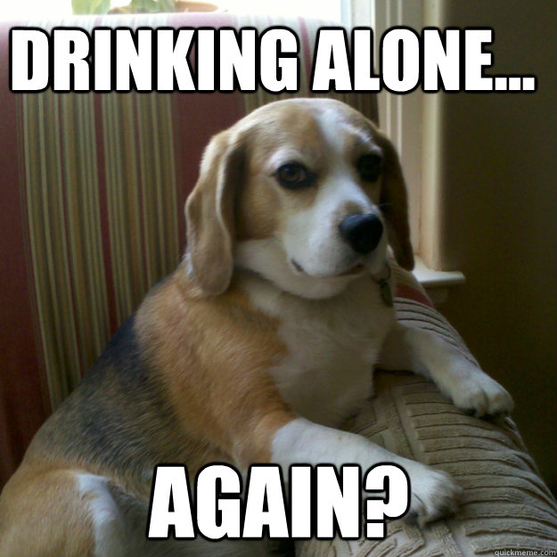 Drinking alone... Again?  judgmental dog