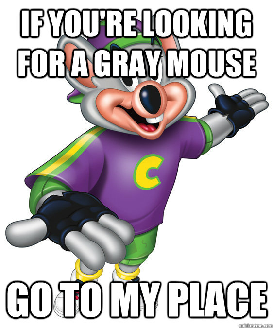 if you're looking for a gray mouse go to my place - if you're looking for a gray mouse go to my place  chuck e cheese