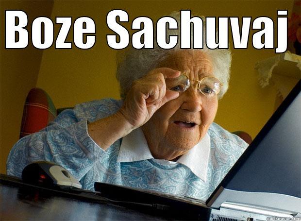 Serbian Grandmom - BOZE SACHUVAJ   Grandma finds the Internet