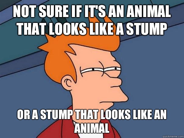 Not sure if it's an animal that looks like a stump or a stump that looks like an animal  Futurama Fry