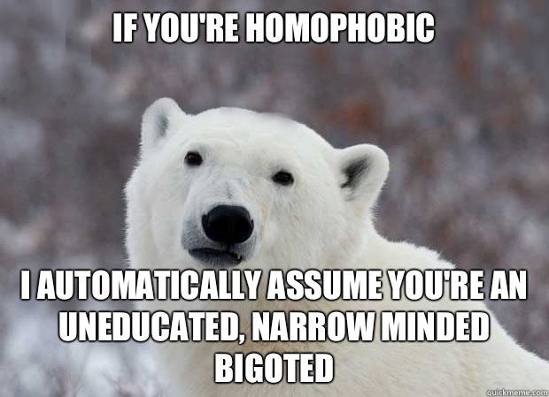 If you're homophobic  I automatically assume you're an uneducated, narrow minded bigoted   Popular Opinion Polar Bear