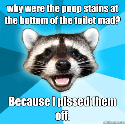 why were the poop stains at the bottom of the toilet mad? Because i pissed them off.  Lame Pun Coon