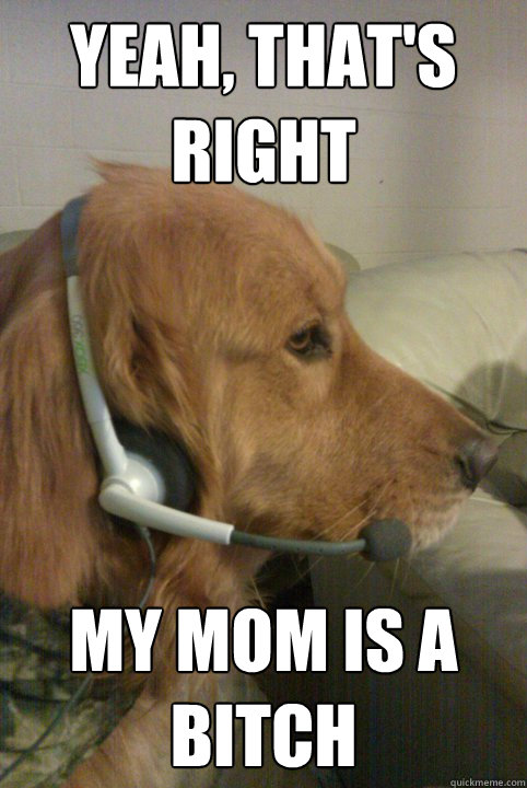 Yeah, that's right my mom is a bitch - Yeah, that's right my mom is a bitch  Xbox Live Dog