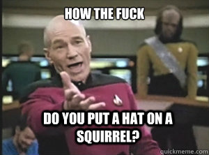 how the fuck do you put a hat on a squirrel?  Annoyed Picard