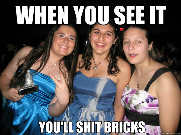 when you see it You'll shit bricks - when you see it You'll shit bricks  stub girl