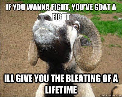 if you wanna fight, you've goat a fight ill give you the bleating of a lifetime - if you wanna fight, you've goat a fight ill give you the bleating of a lifetime  Angry Goat